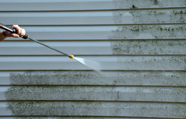 Best Pressure Washing Brick  in Bay Springs, MS