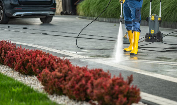 Best Pressure Washing Services for Businesses  in Bay Springs, MS