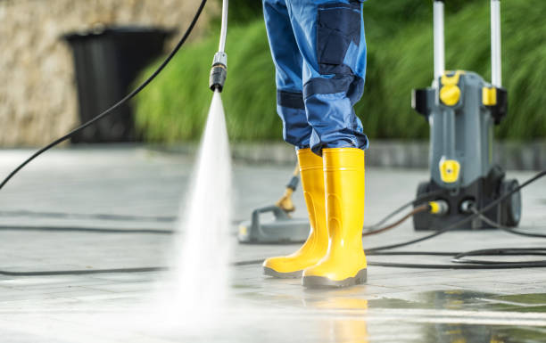 Best Best Pressure Washing Companies  in Bay Springs, MS